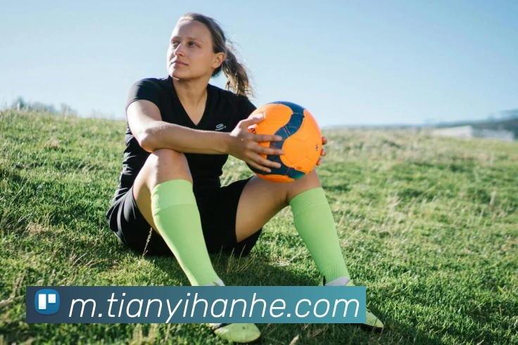 星空体育平台生态图