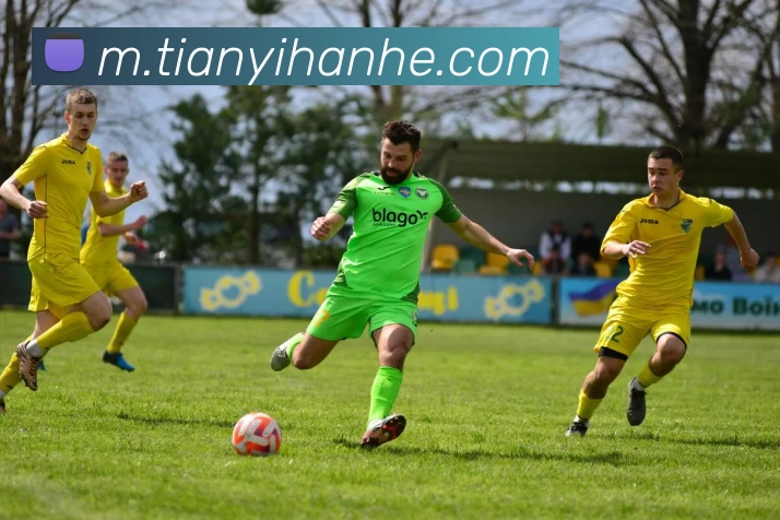 星空体育APP 封面图